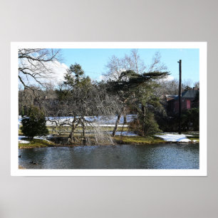 Winter Waterscape Poster