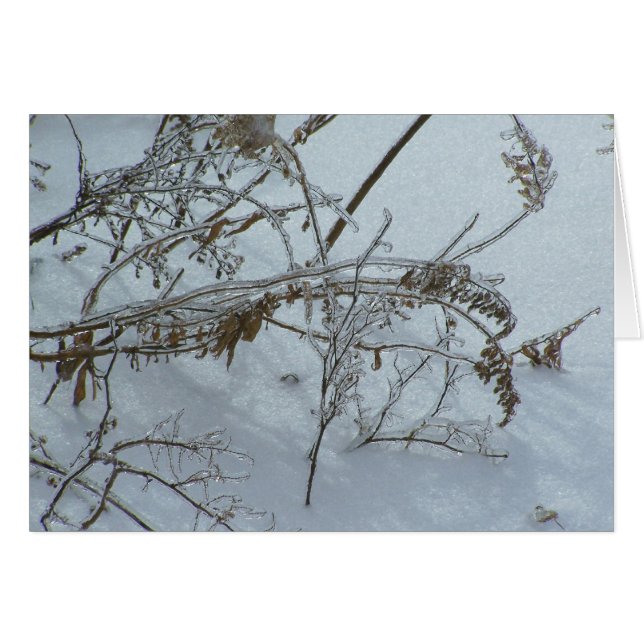 Winter Weeds (Front Horizontal)