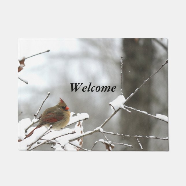 Winter Welcome Doormat (Front)