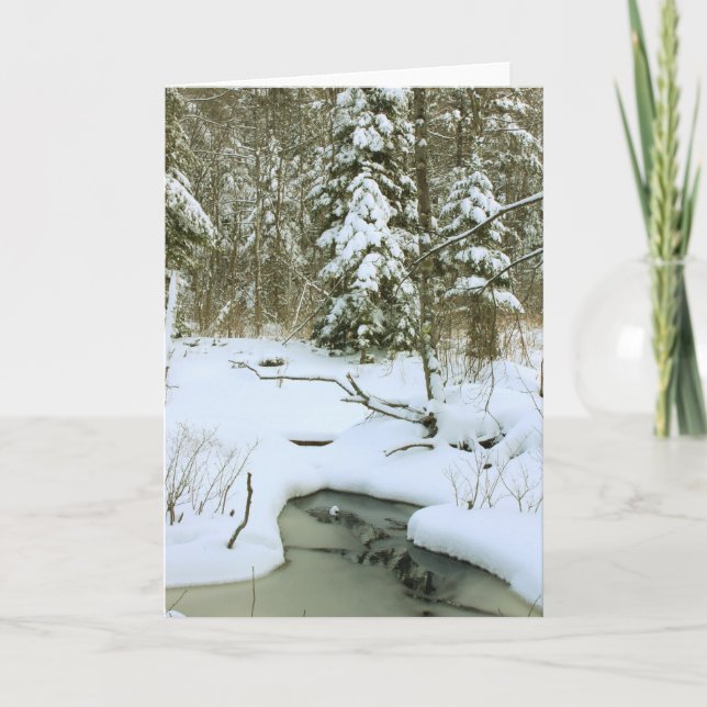 Winter Wetland Holiday Card (Front)