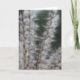 Winter Wheat Card
