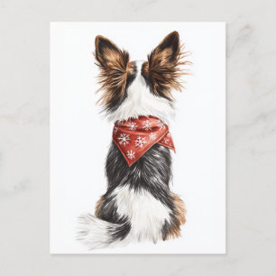 Winter Whiskers Postcard