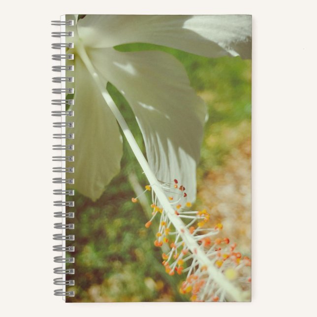 Winter White Hibiscus Notebook (Front)
