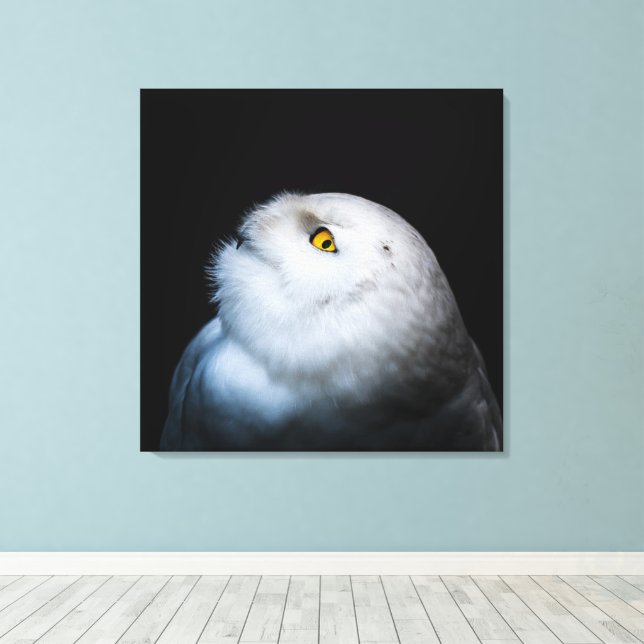 Winter White Snowy Owl Canvas Print (Insitu(Wood Floor))