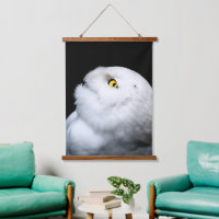 Winter White Snowy Owl