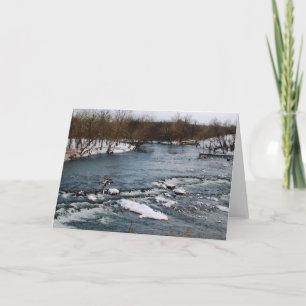 Winter White Water Card
