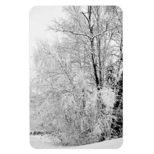 Winter Whites Magnet