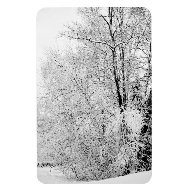 Winter Whites Magnet (Vertical)