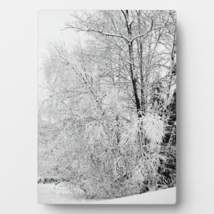 Winter Whites Plaque