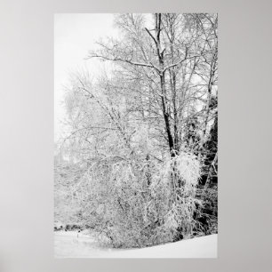 Winter Whites Poster