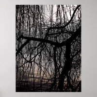 WINTER WILLOW TREE