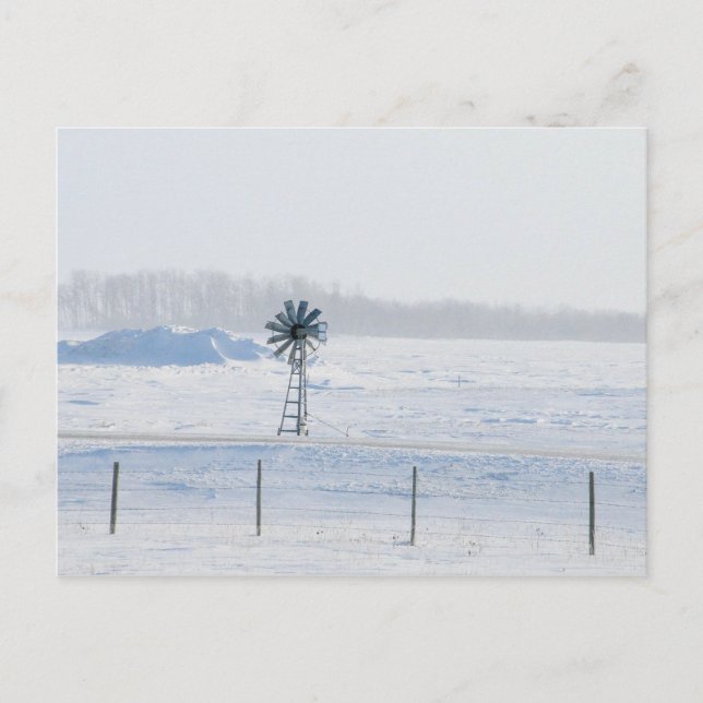 Winter Windmill Postcard (Front)