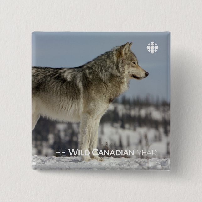 Winter - Wolf 15 Cm Square Badge (Front)