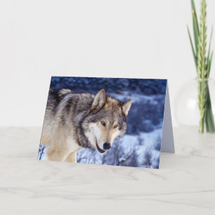 Winter Wolf 2 Card