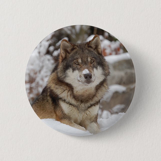 Winter Wolf 6 Cm Round Badge (Front)