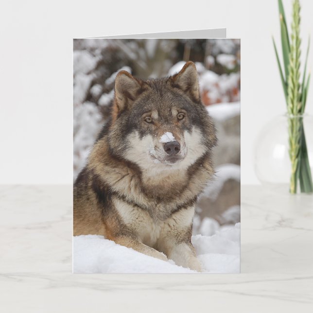 Winter Wolf Card (Front)