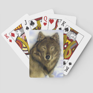 Winter Wolf Playing Cards