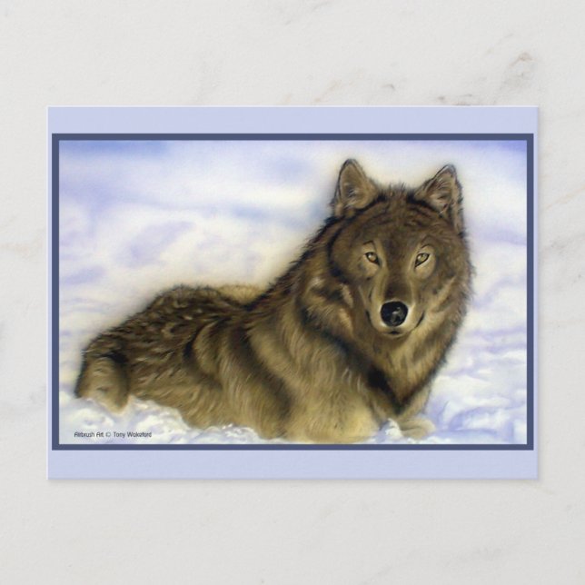 Winter Wolf Postcard (Front)