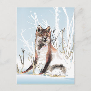 Winter Wolf Postcard