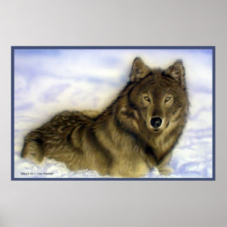 WInter Wolf Poster