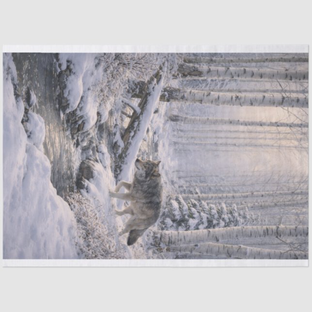 Winter Wolf Tissue Paper (Front)