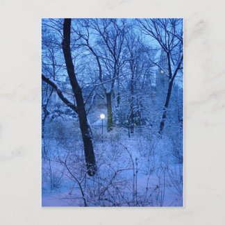 Winter Wonder Land Postcard