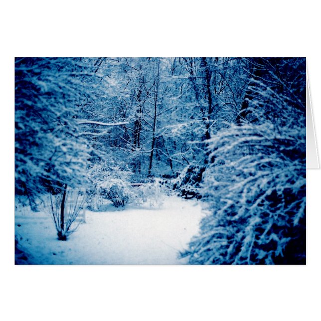 Winter Wonderland (Front Horizontal)