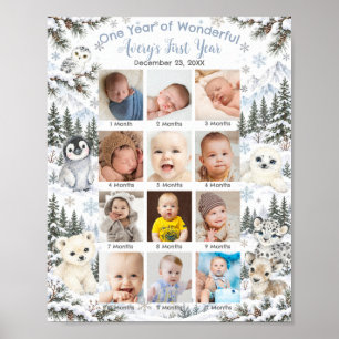 Winter Wonderland Arctic Animals First Year Photo Poster