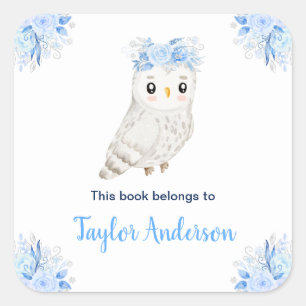 Winter Wonderland Arctic Owl Kids Bookplate Square Sticker