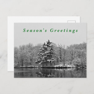 Winter Wonderland Black & White Snow Photography  Holiday Postcard