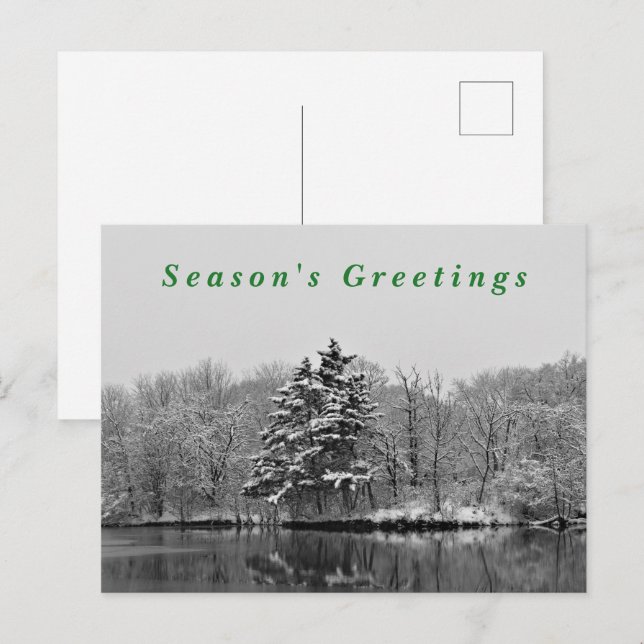 Winter Wonderland Black & White Snow Photography  Holiday Postcard (Front/Back)