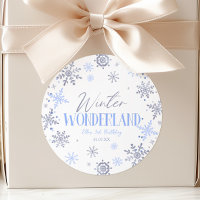 Winter Wonderland Blue Snowflake Birthday Party