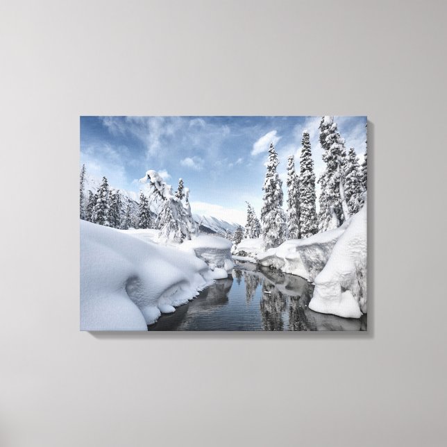 Winter Wonderland Canvas Print (Front)