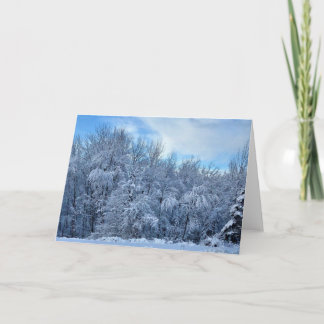 Winter Wonderland Card