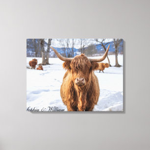 Winter Wonderland: Custom Scottish Highlander Cow Canvas Print