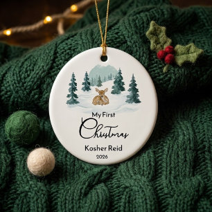Winter Wonderland Deer Birth Stats First Christmas Ceramic Tree Decoration