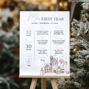 Winter Wonderland First Year Milestone Sign