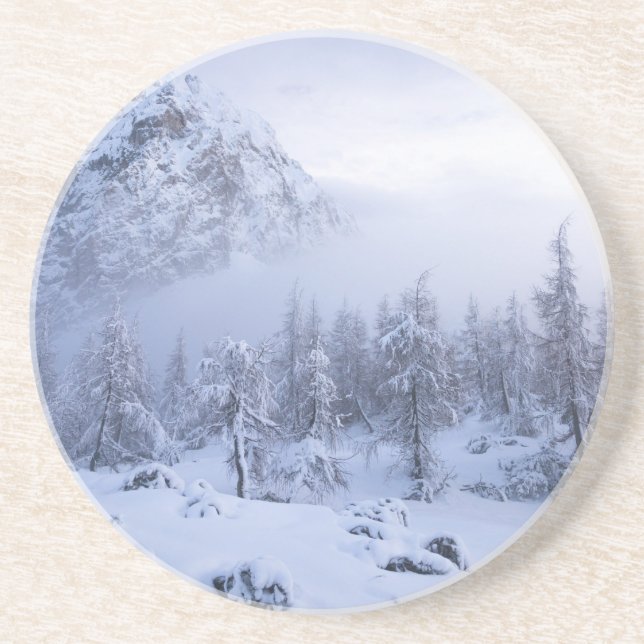 Winter wonderland, fog, spruce forest and mountain coaster (Front)