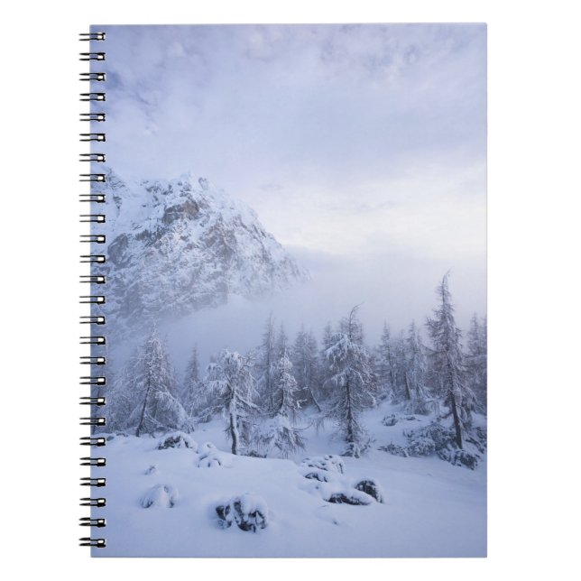 Winter wonderland, fog, spruce forest and mountain notebook (Front)
