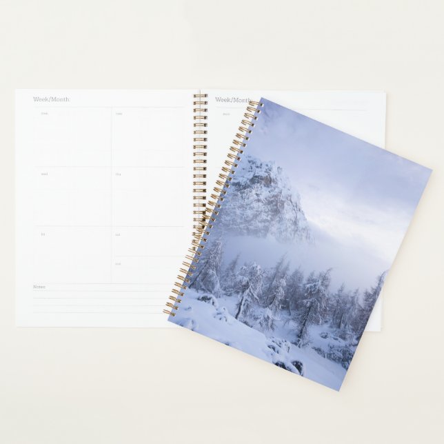 Winter wonderland, fog, spruce forest and mountain planner (Display)
