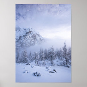 Winter wonderland, fog, spruce forest and mountain poster
