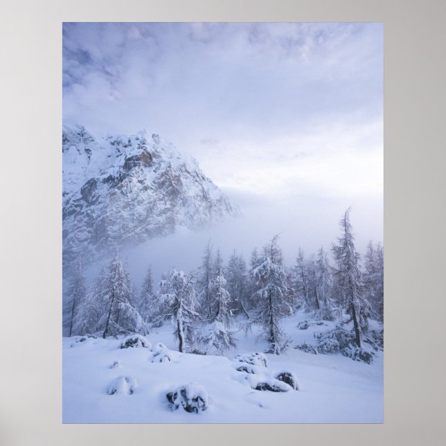 Winter wonderland, fog, spruce forest and mountain poster (Front)