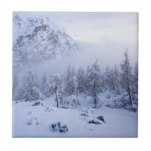 Winter wonderland, fog, spruce forest and mountain tile