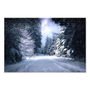 Winter Wonderland Forest Snowfall Photo Print