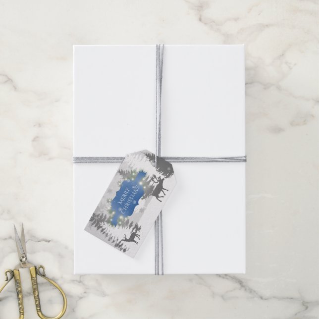 Winter Wonderland Gift Tag - Blue (With Twine)