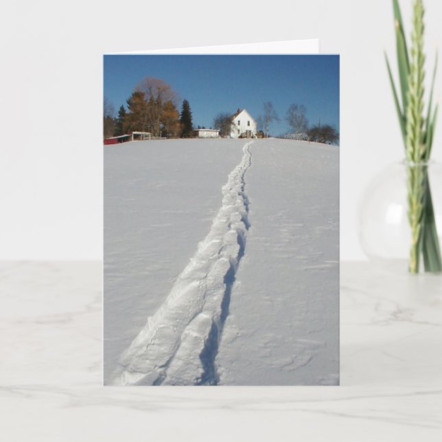 Winter Wonderland Holiday Card (Front)