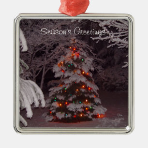 Winter Wonderland Holiday Tree Lights Ornament