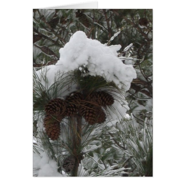 Winter Wonderland III (Front)