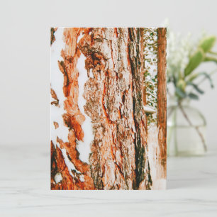 Winter Wonderland in Bend - Oregon Holiday Card