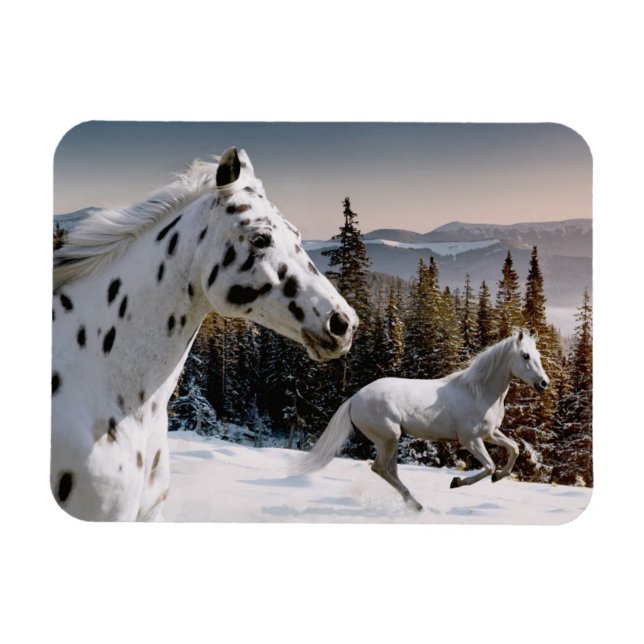 Winter Wonderland Magnet (Horizontal)